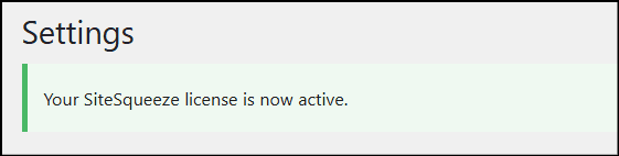 Screenshot of 'Your SiteSqueeze license is now active' message in the Settings section of a website dashboard.